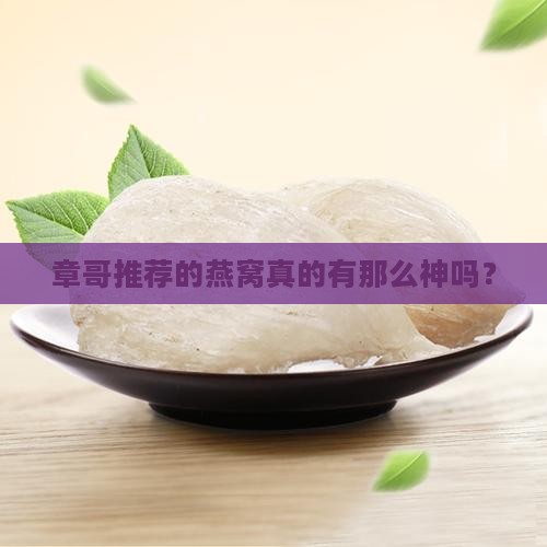 章哥推荐的燕窝怎么样啊