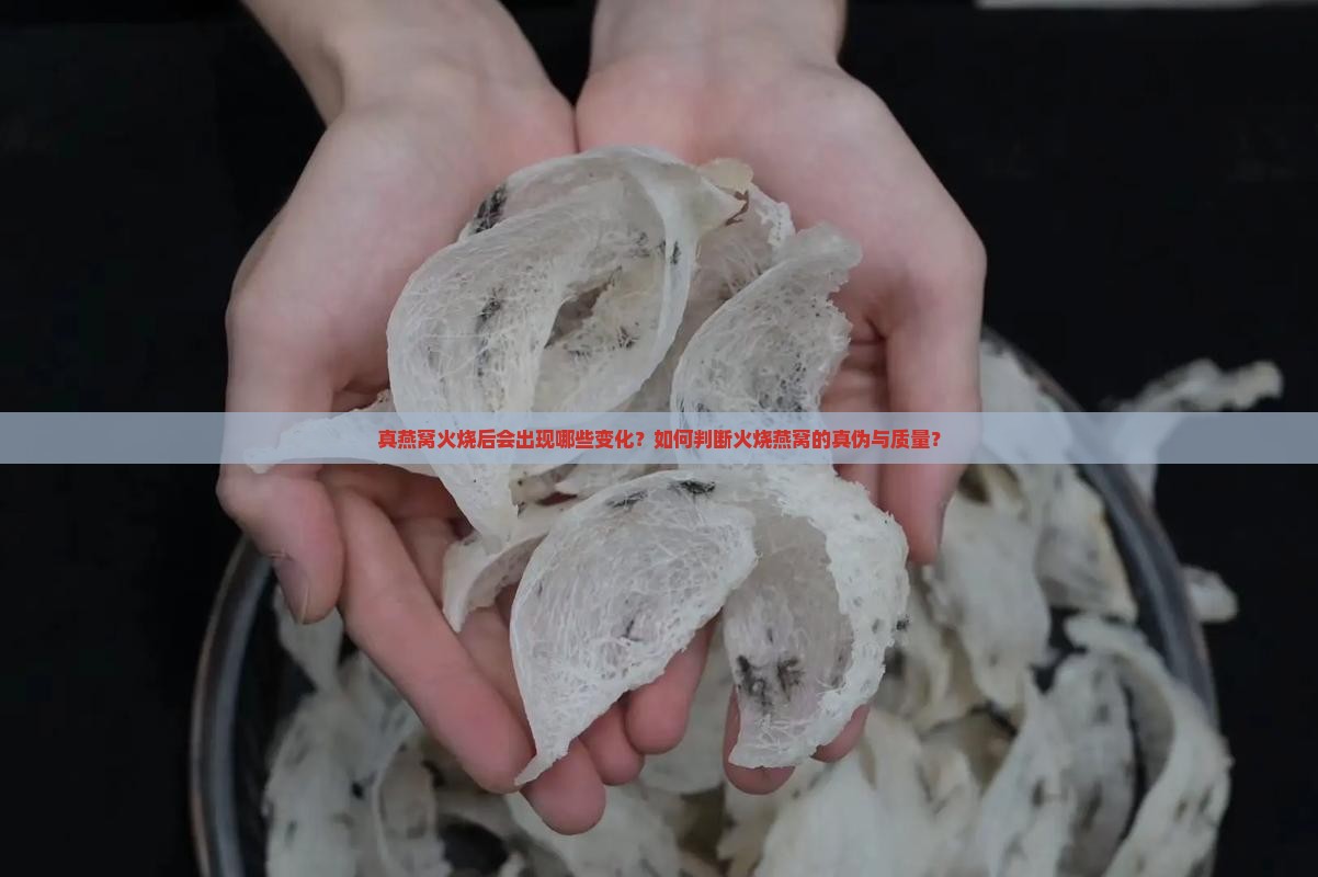 真燕窝用火烧是什么状况
