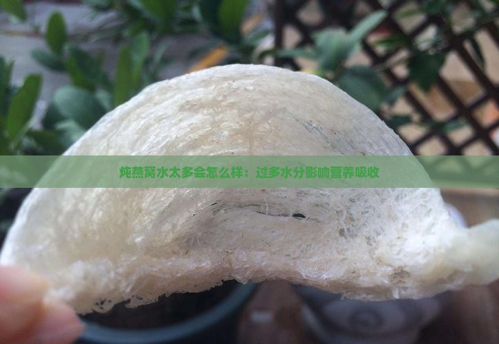 炖燕窝水太多会怎么样