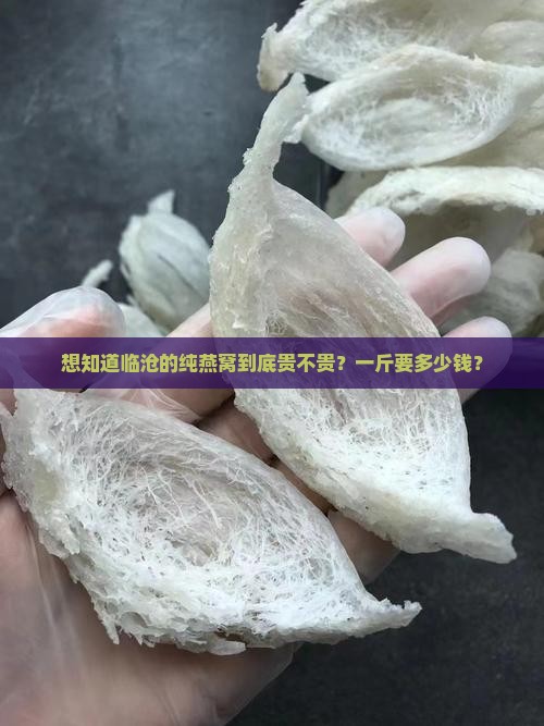 临沧纯燕窝多少钱一斤