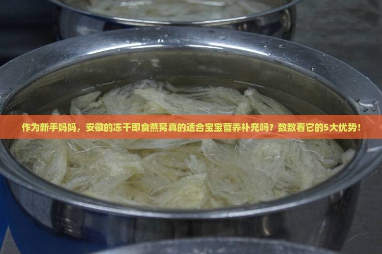 安徽冻干即食燕窝怎么样