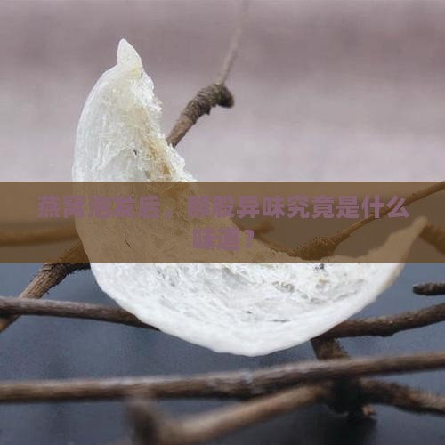 泡好的燕窝什么样是异味