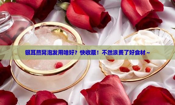 银耳燕窝用什么泡发好