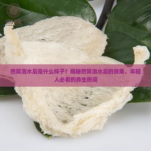 燕窝泡水后是什么样子