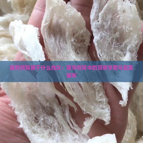 碗燕燕窝属于什么档次