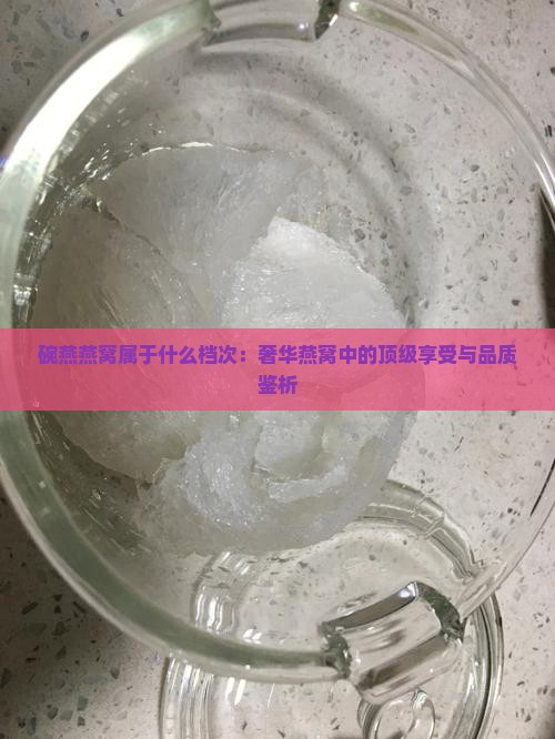 碗燕燕窝属于什么档次