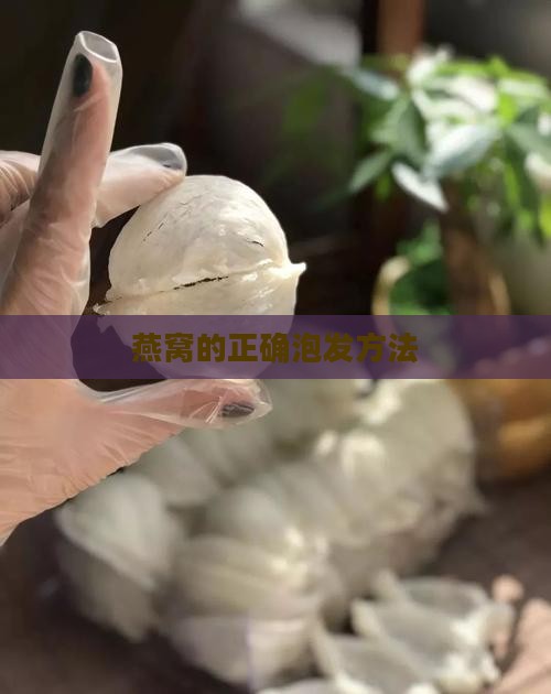 燕窝怎么泡发才是好的