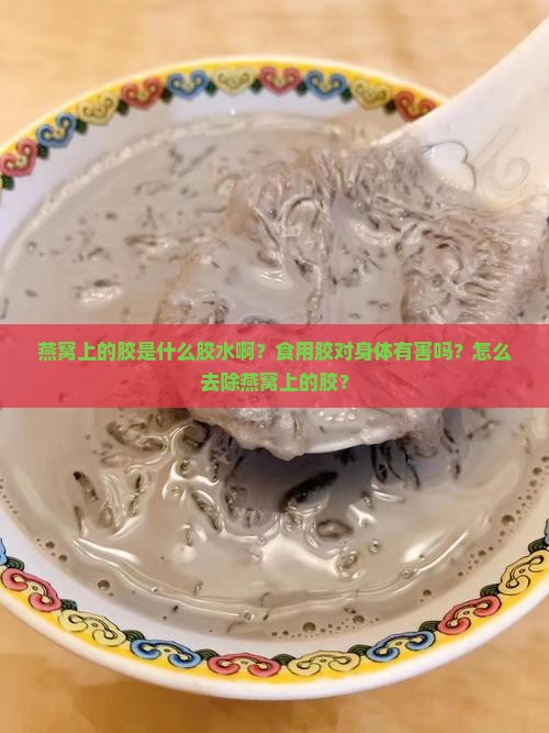 燕窝上的胶是什么胶水啊
