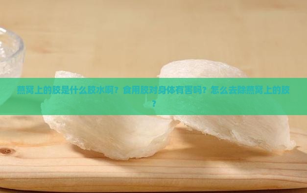 燕窝上的胶是什么胶水啊