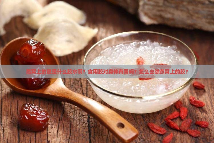 燕窝上的胶是什么胶水啊