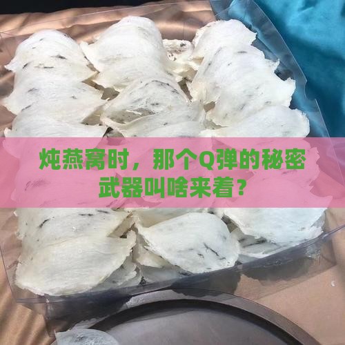 炖燕窝用的胶叫什么来着