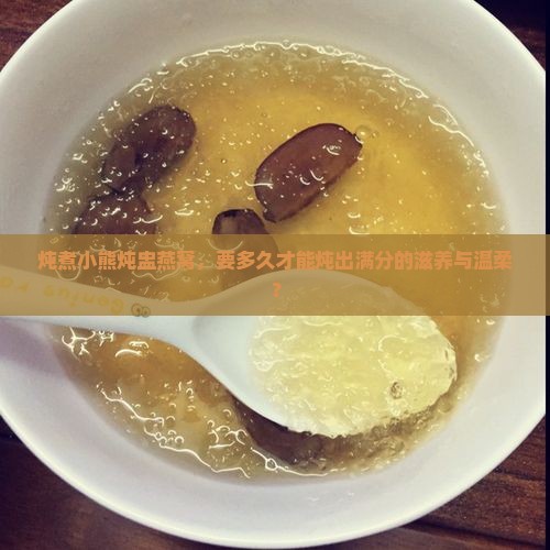 小熊炖盅燕窝多久熟透啊 小熊炖盅燕窝多久熟透啊