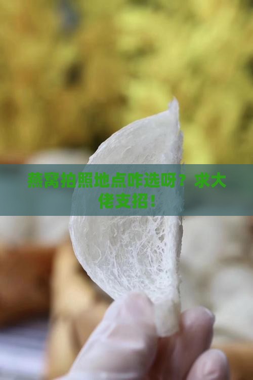 燕窝拍照地点怎么选的啊