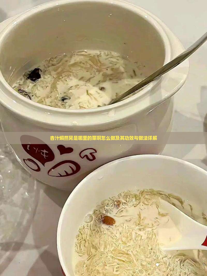杏汁焖燕窝是哪里的菜啊