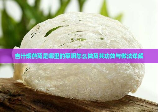 杏汁焖燕窝是哪里的菜啊