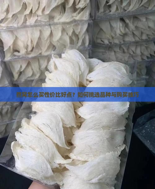 燕窝怎么买性价比好点
