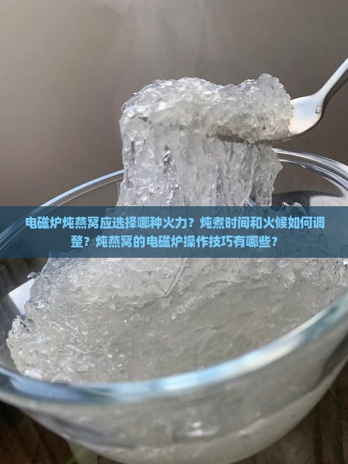 电磁炉炖燕窝用多少火