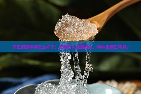 辛巴燕窝事件怎么样了