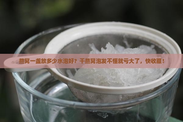 燕窝一盏放多少水泡好