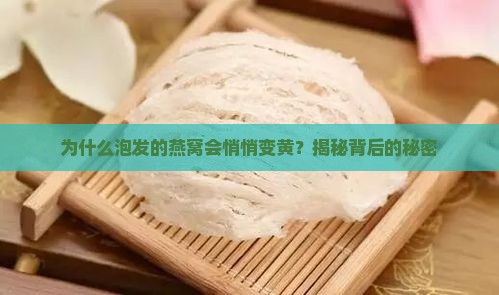 泡发的燕窝为什么会变黄