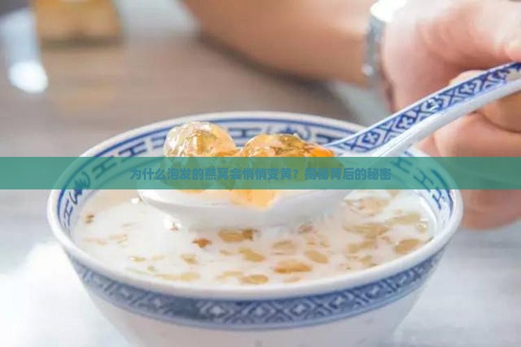 泡发的燕窝为什么会变黄