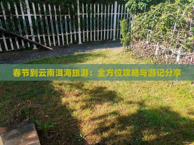 春节到云南洱海旅游：全方位攻略与游记分享