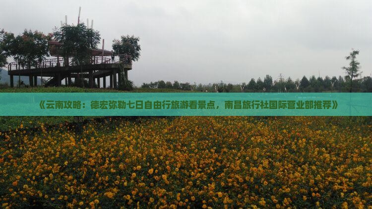 《云南攻略：德宏弥勒七日自由行旅游看景点，南昌旅行社国际营业部推荐》