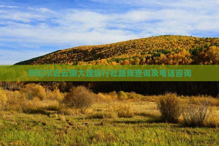 阿拉尔去云南大理旅行社路线查询及电话咨询