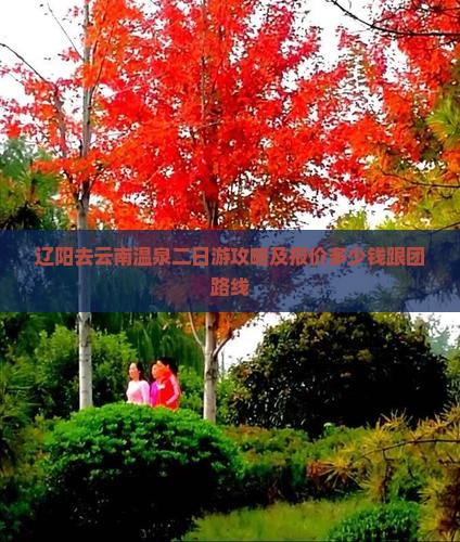 辽阳去云南温泉二日游攻略及报价多少钱跟团路线