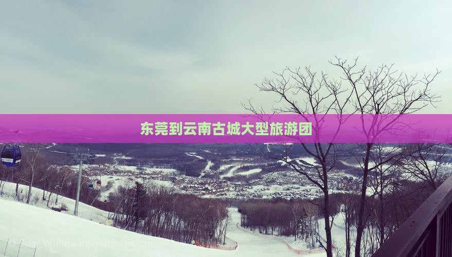 东莞到云南古城大型旅游团