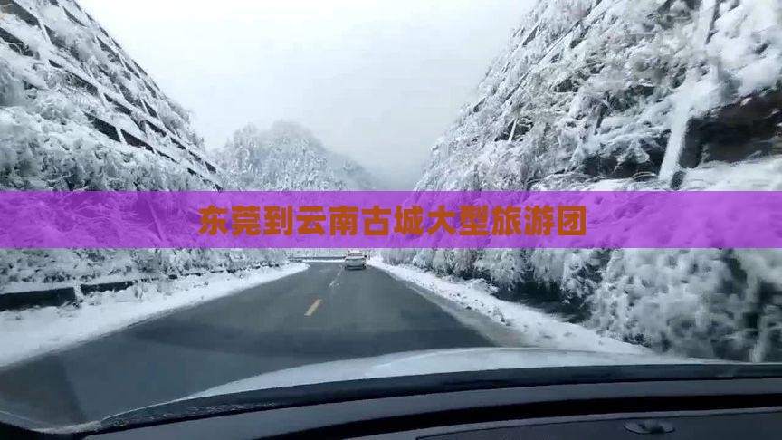 东莞到云南古城大型旅游团