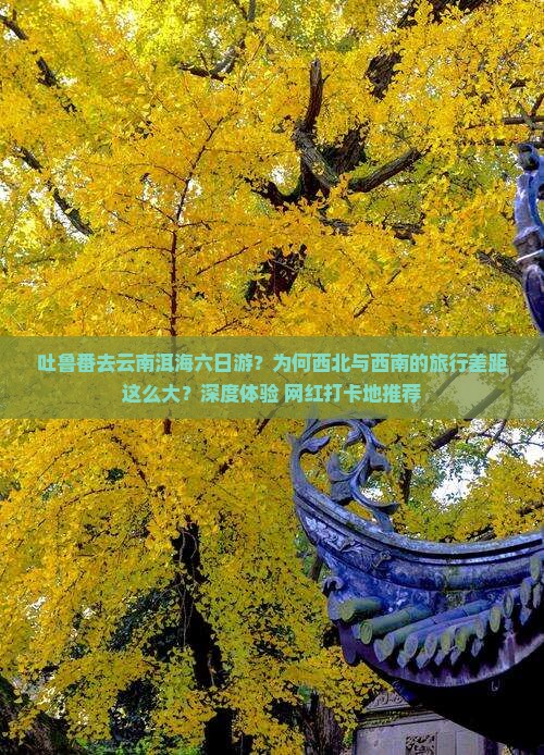 吐鲁番去云南洱海六日游？为何西北与西南的旅行差距这么大？深度体验+网红打卡地推荐
