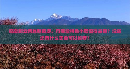 临夏到云南昆明旅游，有哪些特色小吃值得品尝？沿途还有什么美食可以推荐？