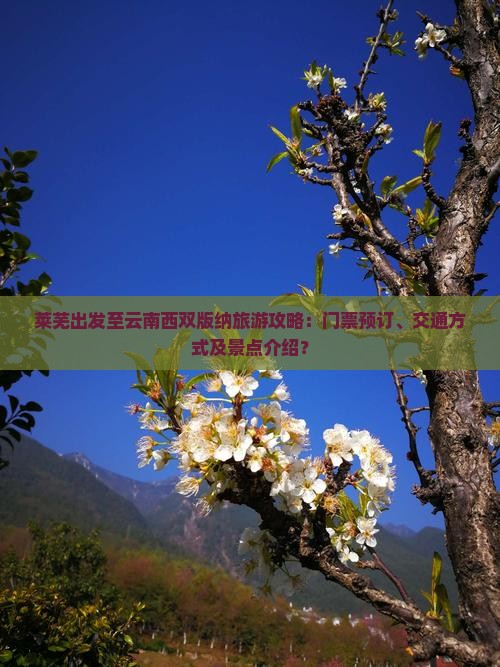 莱芜出发至云南西双版纳旅游攻略：门票预订、交通方式及景点介绍？