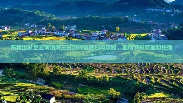 东莞出发至云南洱海三日游行程规划与攻略，如何安排交通和住宿？