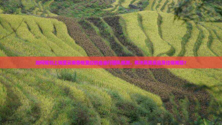 如何规划上饶至云南香格里拉的自由行团队旅游，解决高原反应及住宿难题？