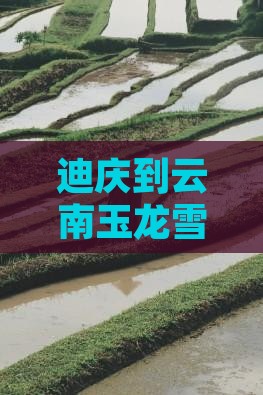 迪庆到云南玉龙雪山大型旅游团报价