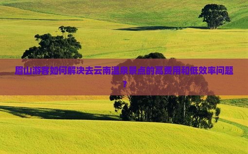 眉山游客如何解决去云南温泉景点的高费用和低效率问题？