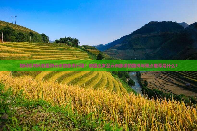 如何规划从鹤壁到云南的旅游行程？鹤壁出发至云南旅游的路线与景点推荐是什么？