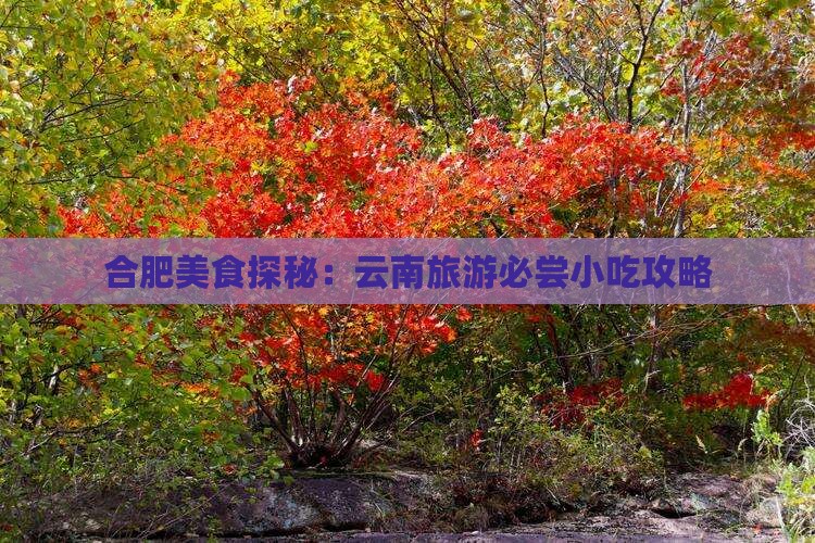 合肥美食探秘：云南旅游必尝小吃攻略