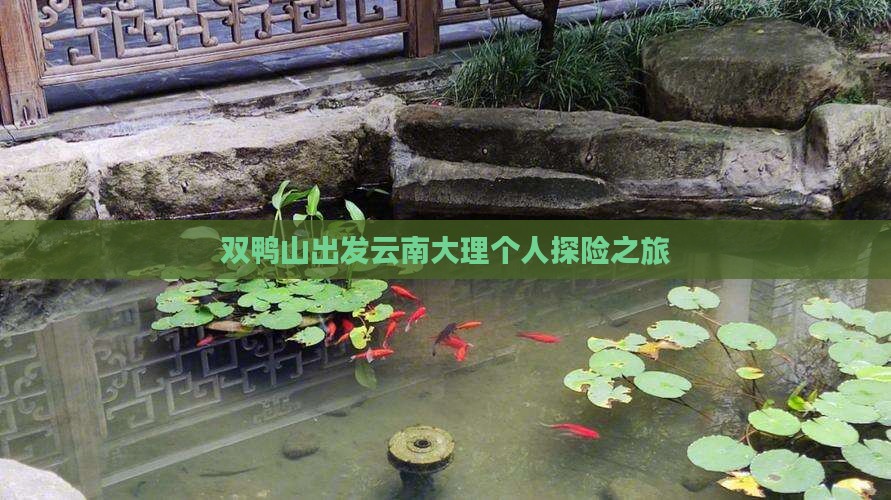 双鸭山出发云南大理个人探险之旅