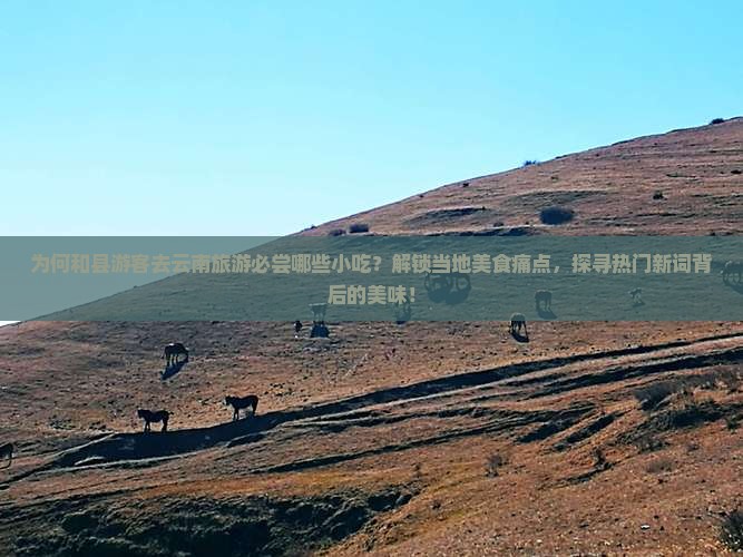 为何和县游客去云南旅游必尝哪些小吃？解锁当地美食痛点，探寻热门新词背后的美味！