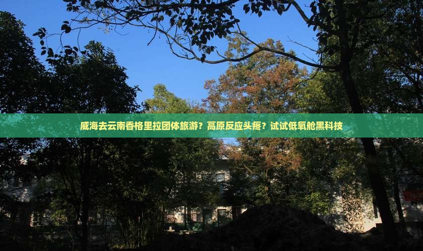 威海去云南香格里拉团体旅游？高原反应头疼？试试低氧舱黑科技
