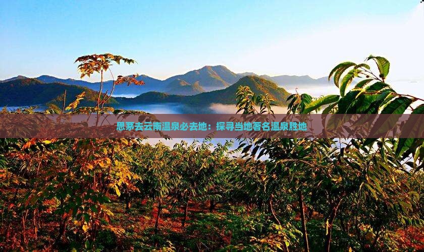 思茅去云南温泉必去地：探寻当地著名温泉胜地