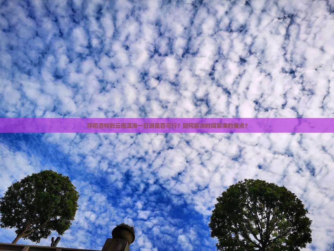 呼和浩特到云南洱海一日游是否可行？如何解决时间紧凑的痛点？