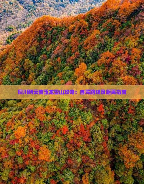 铜川到云南玉龙雪山攻略：自驾路线及距离指南