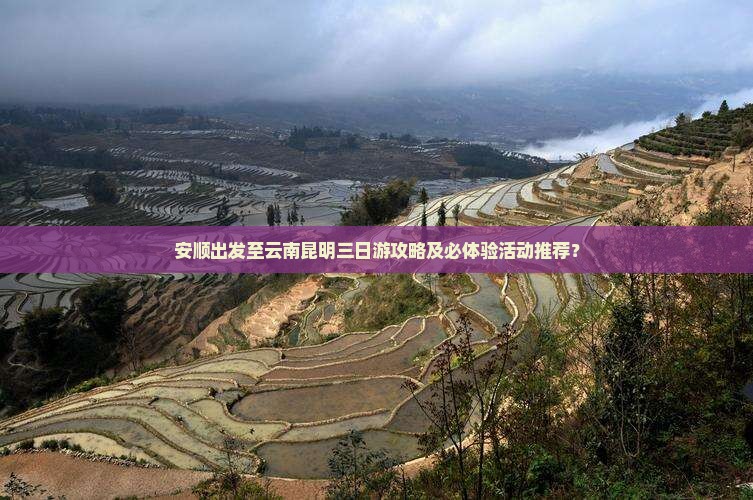 安顺出发至云南昆明三日游攻略及必体验活动推荐？