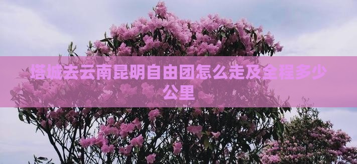 塔城去云南昆明自由团怎么走及全程多少公里