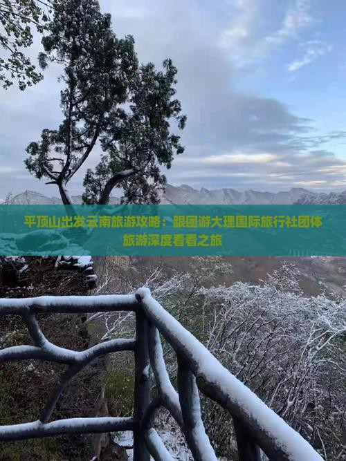 平顶山出发云南旅游攻略：跟团游大理国际旅行社团体旅游深度看看之旅