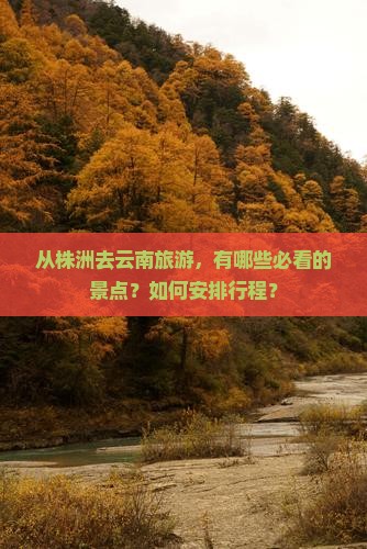 从株洲去云南旅游，有哪些必看的景点？如何安排行程？